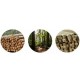 DISCO DA TAGLIO LEGNO CON CATENA 14 DENTI  DA 125 mm FORO DA 22,2 mm
